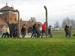 Birkenau